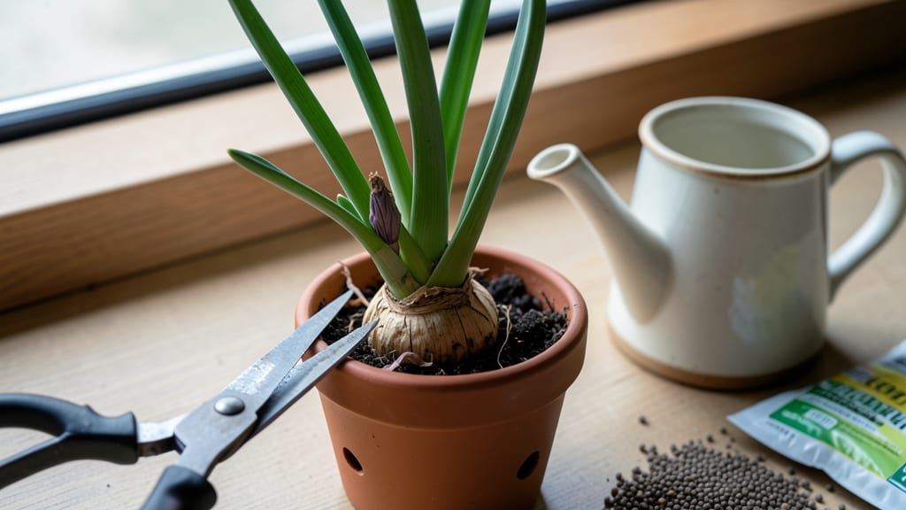 What to Do With Indoor Hyacinth Bulbs After Flowering: Step-by-Step Care to Revive and Replant